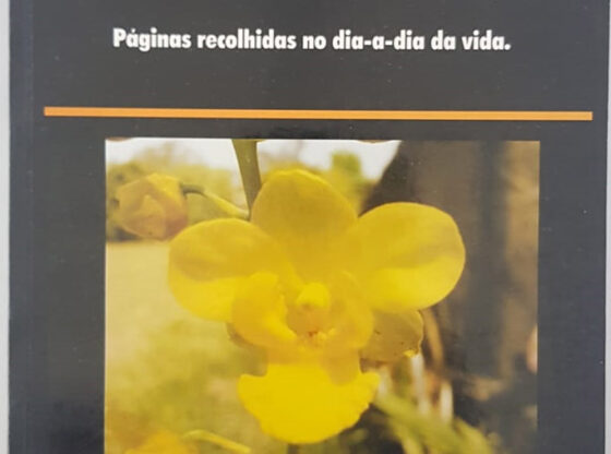 retalhos-do-quotidiano