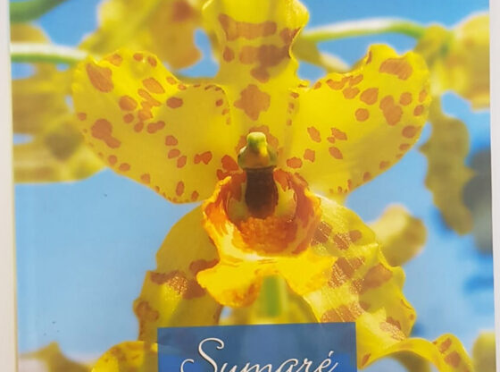 sumare-francisco-antonio-toledo