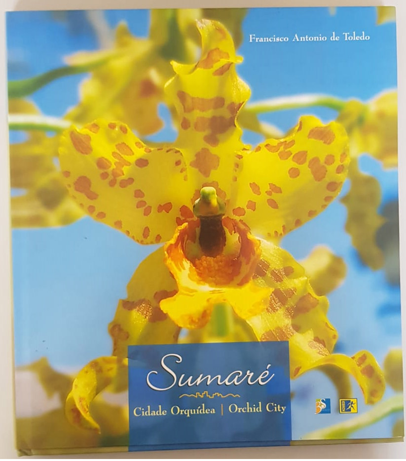 sumare-francisco-antonio-toledo